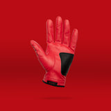 Spider Glove